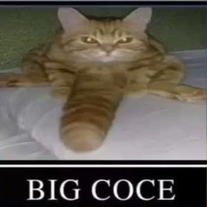 Meet your Posher, Cesar